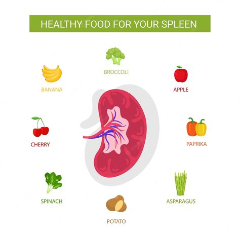 Healthy Food For Spleen . . . . #infographicconcept #thehealthjournal #health Spleen Health, Soft Foods To Eat, Soft Food, Sugary Drinks, Small Meals, Heart Healthy Recipes, Food Help, Healthy Eating Habits, Mindful Eating