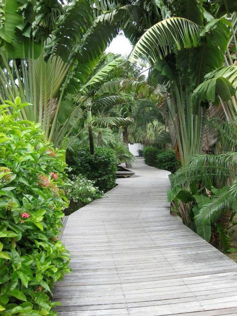 Ile St. Barth-Path to Garden Rooms Tropical Landscape Design, Tropical Garden Design, Tropical Backyard, Desain Lanskap, Garden Walkway, Garden Entrance, Garden Types, Have Inspiration, Backyard Garden Design