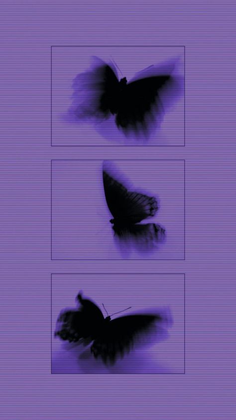 Phone Makeover, Purple Butterfly Wallpaper, Purple Aesthetic Background, Dark Purple Wallpaper, Iphone Ideas, Pretty Phone Wallpaper, Trippy Wallpaper, Simple Phone Wallpapers, Cute Tumblr Wallpaper