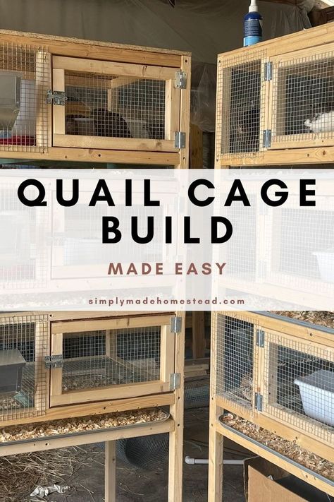 quail cage build made easy, step by step instructions, material list and cut list included Quail Pen, Quail House, Quail Cage, Button Quail, Quail Coop, Homesteading Animals, Raising Quail, Meat Rabbits, Raising Farm Animals