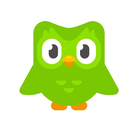 Duolingo App, Language Learning App, Basic Vocabulary, Language Learning Apps, Language Apps, Read Sign, Type Logo, Always Watching, Learning Apps