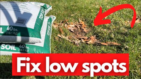 Help for how to fix a low spot in your lawn AND keep the existing grass! #lawn #lawncare #yard #yardwork #landscape #landscaping #landscapingideas Top Soil, Yard Work, Small Backyard Landscaping, Lawn Care, Small Backyard, Top Dress, Backyard Landscaping, Soil, Landscaping