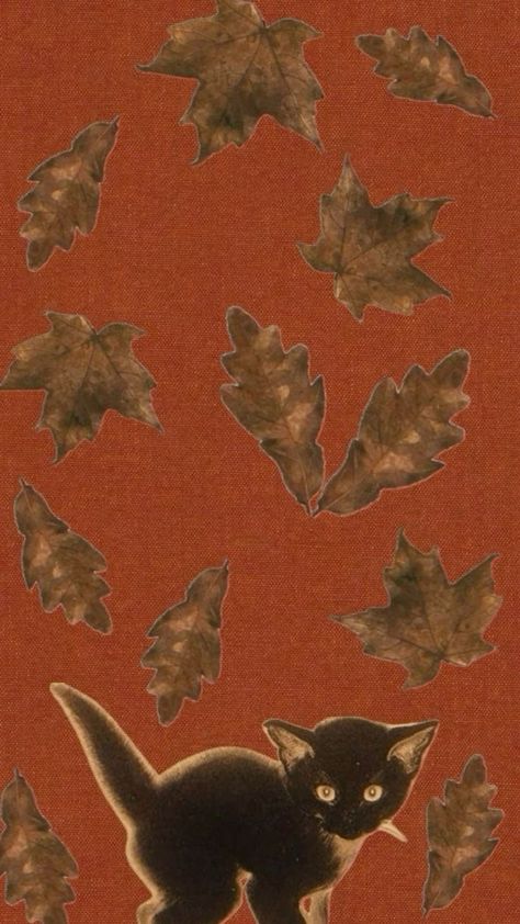 Fall Dark Aesthetic Wallpaper, Halloween Fall Aesthetic Wallpaper, Gothic Fall Wallpaper, Fall Matching Wallpapers, Halloween Wallpaper Samsung, Whimsical Fall Wallpaper Ideas, Whimsical Phone Wallpaper, Matching Fall Wallpapers, Red Fall Wallpaper