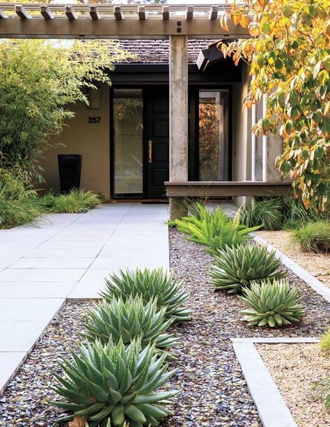 Outdoor Patio Area, Front Yards Curb Appeal, Front Yard Decor, Desert Climate, Modern Front Yard, Small Front Yard Landscaping, Front Garden Landscape, Succulent Landscaping, Backyard Designs