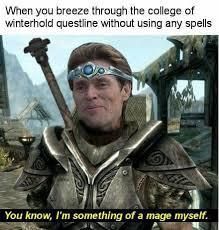 Skyrim Cicero, College Of Winterhold, Elder Scrolls Memes, Todd Howard, Skyrim Funny, Elder Scrolls Lore, Elder Scrolls Games, Elder Scrolls Skyrim, Elder Scrolls V Skyrim