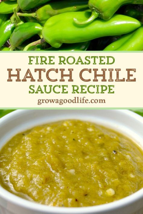 Green Chili Sauce Recipe, Green Chile Sauce Recipe, Hatch Green Chili Recipe, Mexican Sauces, Hatch Chili Recipes, Hatch Chile Recipes, Roasted Green Chili, Mexican Enchiladas, Green Chile Recipes