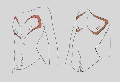 Top Surgery Scars, Heart Shaped Top, Top Surgery, Ange Demon, Body Reference Drawing, Poses References, Anatomy Art, Art Poses, Art Tutorials Drawing