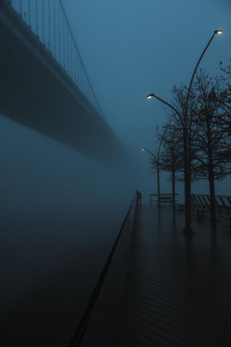 Pretty Ocean, Foggy Night, Dark Naturalism, Dark Paradise, Street Lights, Blue Hour, The Fog, Cinematic Photography, Dark Photography