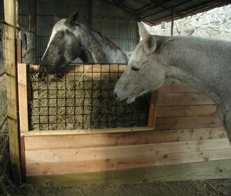 I’ve been wanting to have a hay feeder built for the horses and took advantage of the good weather, as well as hubby’s recovery, to have him whip this up. The grid is a 2′ x 4&#82… Hay Feeder For Horses, Horse Feeder, Horse Hay, Barn Stalls, Horse Barn Designs, Horse Shelter, Hay Feeder, Good Weather, Some Thoughts