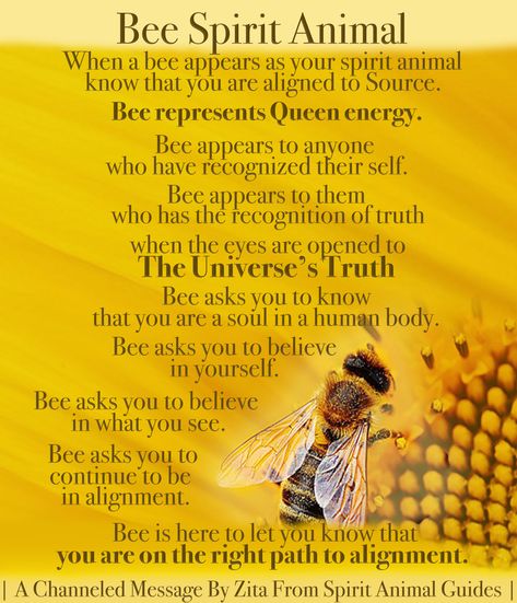 Bee Spiritual Meaning, Bee Spirit Animal, Animal Totem Spirit Guides, Queen Energy, Spirit Animal Meaning, Energy Vibration, Animal Meanings, Spiritual Animal, Animal Spirit Guides