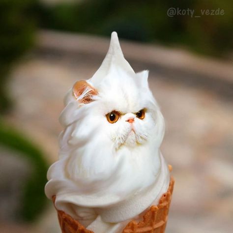 Someone Imagines What Everything Would Look Like If It Had A Cat's Face And The Result Is Funny Yet Disturbing Animal Mashups, Funny Animal Art, Seni Korea, Mean Cat, Funny Photoshop, Kitten Photos, Angry Cat, Pictures Funny, Art Funny