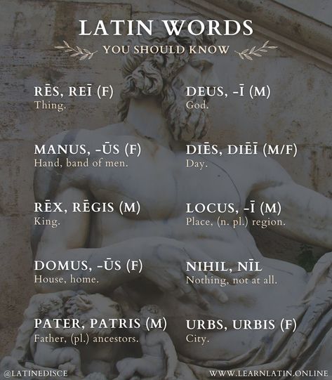 Popular Latin Phrases, Latin Grammar, Latin Language, Latin Phrases, True Faith, Latin Words, Catholic Faith, Writing Tips, Grammar