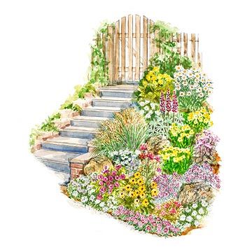 Use that annoying slope in your front or back yard to plant a flower garden! Discover how much space you'll need, the best mulch to use and which plants to purchase that will thrive on a sloped area. Slope Garden, Fast Growing Flowers, Small Garden Plans, Curb Appeal Garden, Perennial Garden Plans, Naturalistic Garden, Annual Garden, Drought Tolerant Garden, Garden Plan