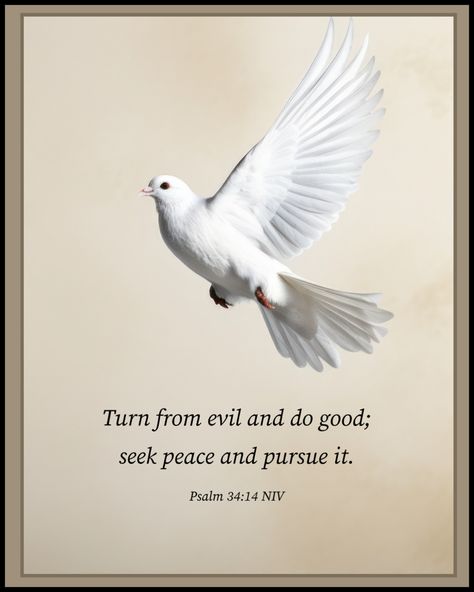 Psalm 34:14 NIV … Turn from evil and do good; seek peace and pursue it. 
#GodIsFaithful #JesusIsLord #Forgiveness #JesusIsTheWayTheTruthAndTheLife 
#ThereIsSalvationInNoOther #FollowJesus #LiveForHim #HeIsRisen #Grace #Truth #Faith #Hope #Love #Joy #Prayer #Mercy  #Purpose #Peace #GoodNews #BibleQuotes Seek Peace And Pursue It, Seek Peace, Psalm 34, Follow Jesus, He Is Risen, Jesus Is Lord, Faith Hope Love, Hope Love, Scripture Quotes