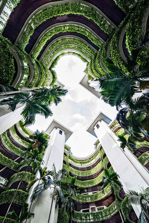 Hanging Garden Architecture, Solarpunk Apartment, Pragmatic Utopia, Gardens Of Babylon, Luxury Hospitality, Hanging Gardens, Green Facade, Floating Garden, Passive Design