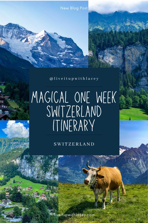 Places To Stay In Switzerland, 10 Day Switzerland Itinerary, Switzerland 10 Day Itinerary, One Week In Switzerland, Swiss Alps Vacation, Switzerland Hiking Itinerary, Swiss Alps Honeymoon, Most Beautiful Places In Switzerland, Lake Como And Switzerland Itinerary