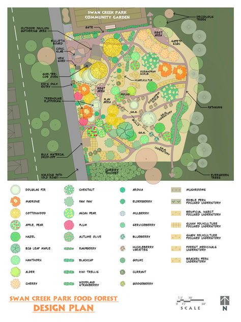 Food Forest Design - Swan Creek Park Food Forest Food Forest Design Backyards, Food Forest Design Layout, Permaculture Food Forest Design, Zone 5 Food Forest, Food Forest Layout Permaculture Design, Mandela Garden, Backyard Orchard Layout, Food Forest Layout, Forest Garden Design