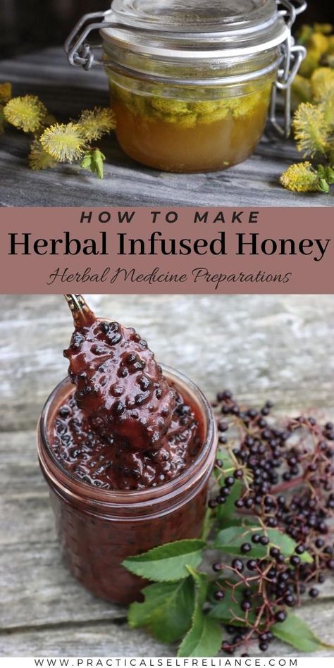 How to Make Herbal Infused Honey Elderberry Honey Recipe, Mint Infused Honey, Diy Flavored Honey, Herbal Food Recipes, Lavender Infused Honey, Infused Honey Recipes, Infusing Honey, Honey Medicine, Raw Honey Recipes