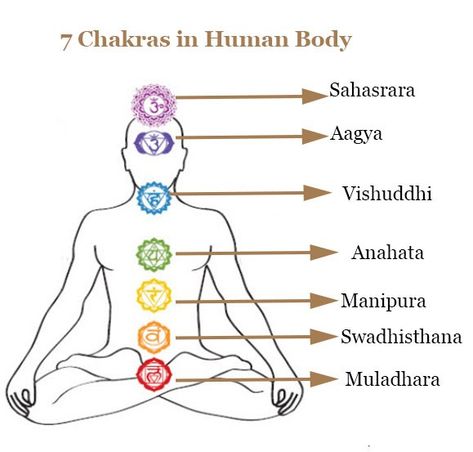 Chakra Meditation 7 Chakras Meditation, Meditation Images, Body Chakras, Chakra Tattoo, Yoga Symbols, Animal Reiki, Yoga Illustration, Chakra Cleanse, Meditation Mantras