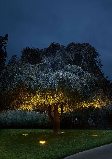 Illuminating the foliage on garden trees: achievable lighting effects - L&L Luce&Light Outdoor Decor Ideas, Outdoor Projector, Tree Light, Garden Trees, Light Architecture, Growing Tree, Tree Lighting, Outdoor Landscaping, Small Plants