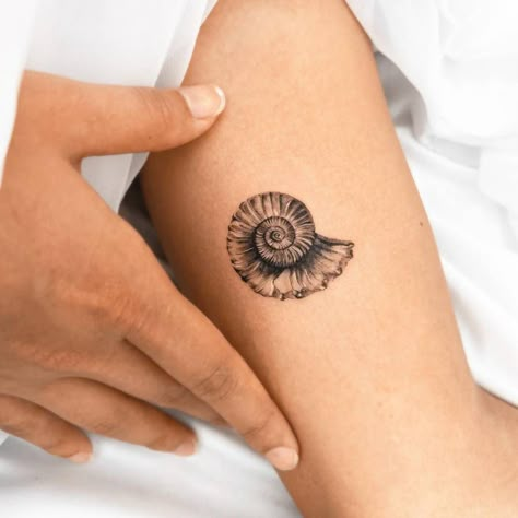 Ammonite tattoo located on the inner arm, Realistic Shell Tattoo, Auger Shell Tattoo, Fibonacci Shell Tattoo, Small Fossil Tattoo, Ammonite Tattoo Fossil, Nautalis Shell Tattoo, Snail Shell Tattoo, Spiral Shell Tattoo, Nautilus Shell Tattoo