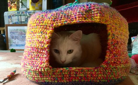 Cat Igloo, Crocheted Cat, Crochet Cat, Cat Colors, The Gap, Crochet Ideas, Crochet Projects, Markers, Entrance