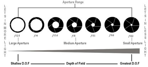 what is aperture Dslr Beginner, Starting Photography Business, Camera Aperture, Aperture Science, Lens Aperture, Dslr Photography Tips, Camera Dslr, Dslr Background, Digital Photography School