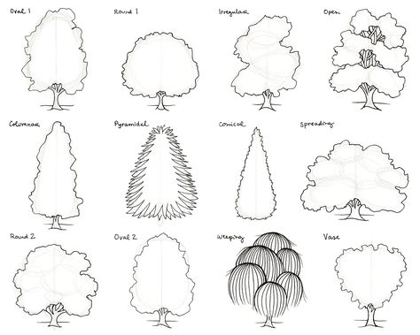 Nature, draw + outline TREES Tree Outline Drawing, Copic Marker Set, Draw Outline, Sketch Outline, Tree Sketch, Tree Outline, Tree Sketches, Landscape Sketch, Outline Drawing