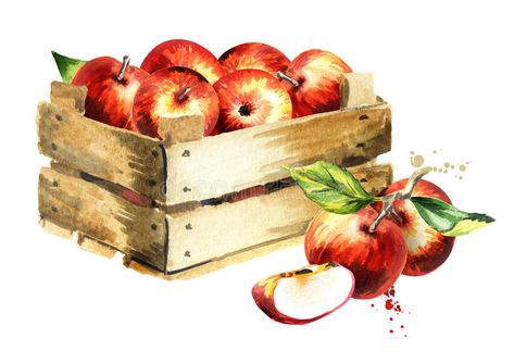 Apple Fruit Images, Apple Illustration, Autumn Clipart, Fall Clipart, Fruits Images, Food Illustration Art, Fall Fruits, Fruit Box, New Fruit