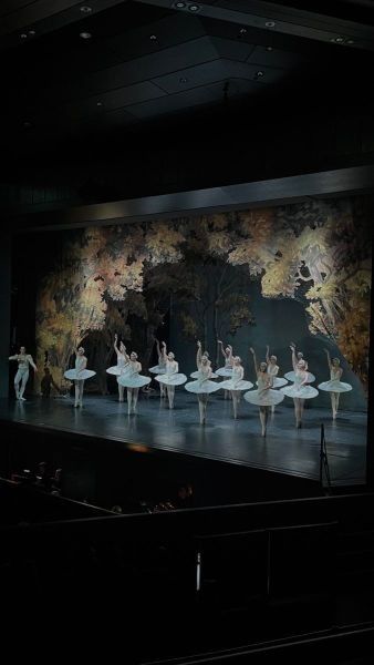 🌷Just pink though’s & soft vibes 🌷 Deception Trilogy, Ballet Shows, Swan Lake Ballet, Ballet Beauty, Dance Dreams, Ballet Performances, The Ballet, Swan Lake, Aesthetic Photo