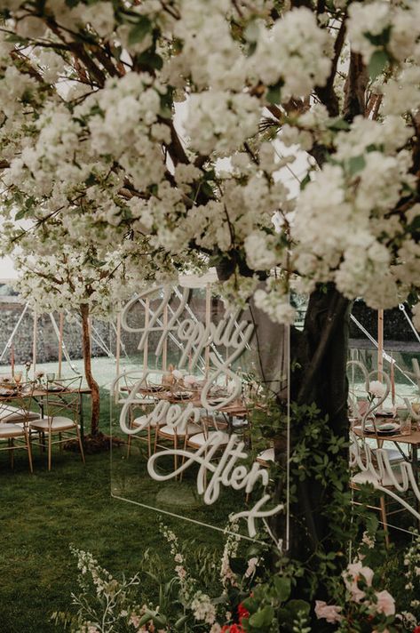 Cherry Blossom Wedding Decor, Prosecco Wall, Neon Light Wedding, Neon Signs Wedding, Pink Peony Bouquet, Neon Sign Decor, Hayley Paige Wedding, Pink Peonies Bouquet, Hayley Paige Wedding Dress