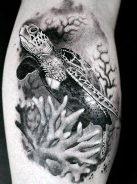 Shaded Realistic Coral Reef Swimming Turtle Guys Leg Calf Tattoo Coral Reef Tattoo, Reef Tattoo, Coral Tattoo, Hai Tattoo, Voll Arm-tattoos, Sea Life Tattoos, Tattoo Black And White, Sea Turtle Tattoo, Turtle Tattoo Designs