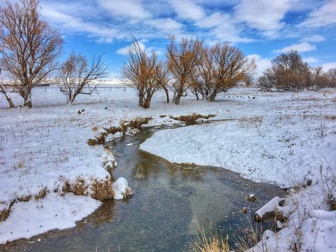 Spring Snow, Bird Migration, Beautiful Weather, Bad Dreams, Snow Scenes, Snow Storm, Spring Is Here, In A Hurry, Winter Landscape