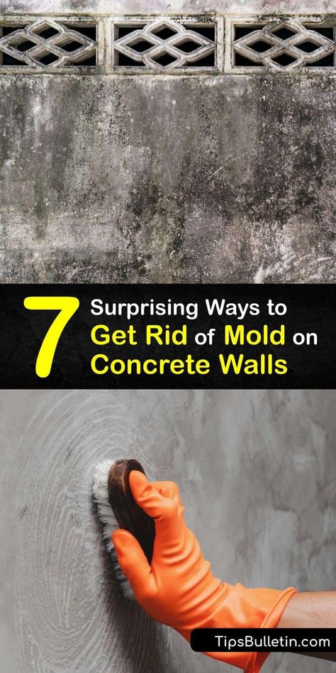 Cleaning Basement Walls, How To Clean Black Mold, Basement Mold Removal, How To Get Rid Of Mold In Basement, Mold Remediation Diy, Cinder Block Basement, Remove Mold From Walls, Mold In Basement, Remove Mold Stains