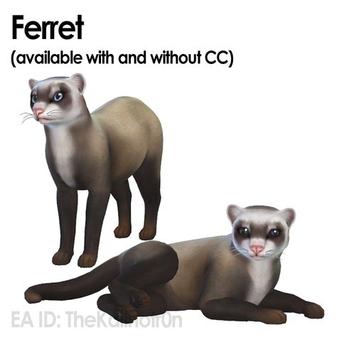 TheKalino on Instagram: “New Animals! 🐾 Ferret (cc): simfileshare.net/download/48674… Ferret (without cc): simfileshare.net/download/48673… Aardwolf:…” Sims 4 Cc Animals, Sims 4 Animal Cc, Sims 4 Animals, Sims 4 Pet Cc, Sims 4 Pets Mod, Sims Collection, The Sims 3 Pets, Sims Pets, Sims 4 Challenges