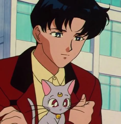 Tuxedo Man Sailor Moon, Tuxedo Mask Aesthetic, Tuxedo Mask Icon, Mamoru Sailor Moon, Television Aesthetic, Sailor Moon Mamoru, Darien Sailor Moon, Sailor Moon Characters, Sailor Moon Funny