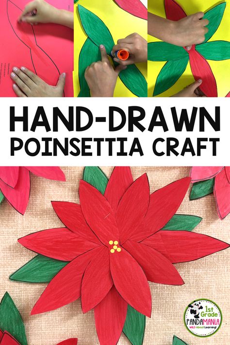 This beautiful Poinsettia bulletin board Craft was hand-drawn by one of our 1st grade teacher's moms decades ago and it's been a favorite ever since! See how beautiful these look as our classroom decorations and grab the template here at 1stgradepandamania.com. Easy Poinsettia Craft For Kids, Poinsettia Crafts For Kids, Holiday Bulletin Board Ideas, Poinsettia Craft, Holiday Bulletin Boards, Third Grade Resources, Holiday Classroom, Bulletin Board Ideas, First Grade Resources