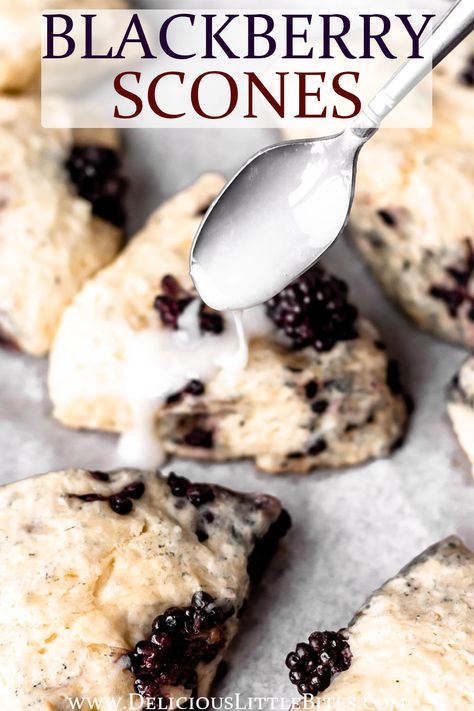 Blackberry Desserts, Berry Scones Recipe, Blackberry Scones, Tea Scones, Blackberry Dessert, Berry Scones, Raspberry Scones, Fruit Scones, Scones Recipe Easy