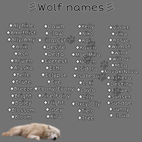 Wolf Aesthetic Cute, Pack Names Werewolf, Names For Magical Creatures, Wolf Pack Name Ideas, Werewolf Last Names, Fake City Names, Fox Name Ideas, Names For Wolves, Werewolf Pack Names