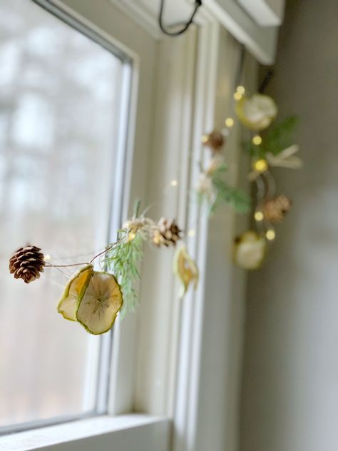 Discover the key factors influencing the longevity of your homemade dried fruit garland. Also learn how to make this dainty dried fruit garland! Diy Cranberry Garland, Dried Fruit Decorations, Dried Fruit Garland, Cranberry Garland, Natural Garland, Fruit Garland, Garland Tutorial, Diy Christmas Garland, Mason Jar Gifts