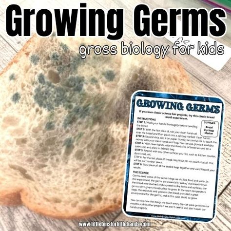 Germs Preschool, Biology For Kids, Dna Lab, Science Vocabulary, Science Tools, Homeschooling Tips, Science Projects For Kids, Cool Science Experiments, Fair Projects