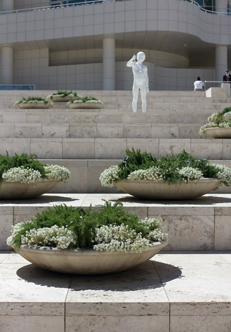 Potted Plants Outdoor, Garden Stairs, Scandinavian Interiors, Just Now, Terrace Garden, Plant Design, Beautiful Tree, Rock Garden, Outdoor Design