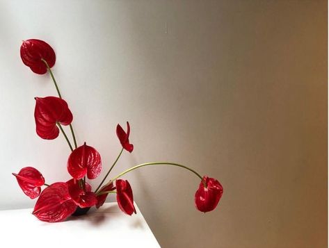 Red Anthurium Arrangement, Asian Flower Arrangements, Anthurium Bouquet Wedding, Red Ikebana, Monochromatic Tablescape, Rose Ikebana, Anthurium Arrangement, Red Centerpieces, Modern Floral Arrangements