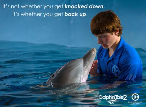 "It's not whether you get knocked down, it's whether you get back up." Winter The Dolphin, Dolphin Tale 2, Dolphin Quotes, Clearwater Marine Aquarium, Dolphin Tale, Dolphin Tail, The Dolphins, Bottlenose Dolphin, Disney Movie Quotes