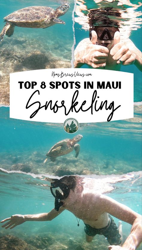 Maui Surfing, Best Places To Snorkel, Oahu Snorkeling, Paia Maui, Hawaii Snorkeling Aesthetic, Best Maui Hikes, Kaanapali Maui, Hawaii Snorkeling, Best Beaches In Maui