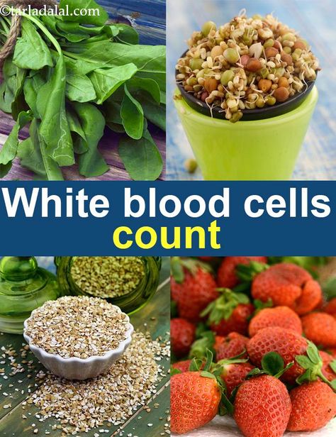 White Blood Cells Increase, Bible Food, Low White Blood Cells, White Blood Cell, White Blood, Iron Rich Foods, Ketogenic Diet Plan, Sugary Food, White Blood Cells