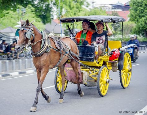 Loud Photos, Malioboro Yogyakarta, Andong, Batik Art, Art Reference Poses, Vacation Spots, Art Reference, Character Design, Indonesia