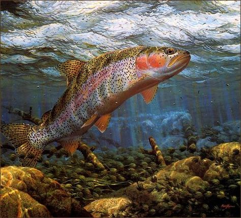 Trout Painting, Trout Art, Rainbow Trout Fishing, Fly Fishing Art, Fish Artwork, Fishing Photography, Fishing Pictures, River Fishing, Fish Sculpture