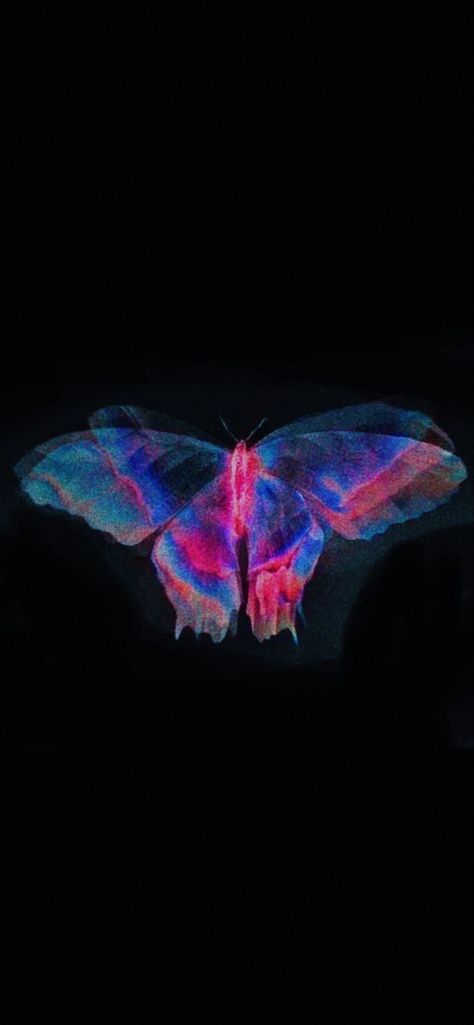 Butterfly Highlight Instagram, X Ray Butterfly, Neon Butterfly Aesthetic, X Ray Aesthetic Wallpaper, Butterfly Effect Aesthetic, Moth Wallpaper Aesthetic, Butterfly Effect Wallpaper, Butterfly Editorial, Minimal Aesthetic Instagram