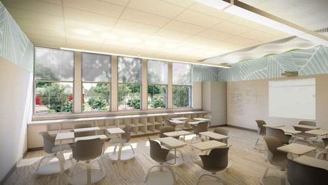 Biophilic Design: Why You Should Use It in Your Home Classroom Nature House, Campus Design, Home Classroom, Biophilic Design, Commercial Carpet, Palm Springs California, Charter School, Classroom Design, Classroom Setup